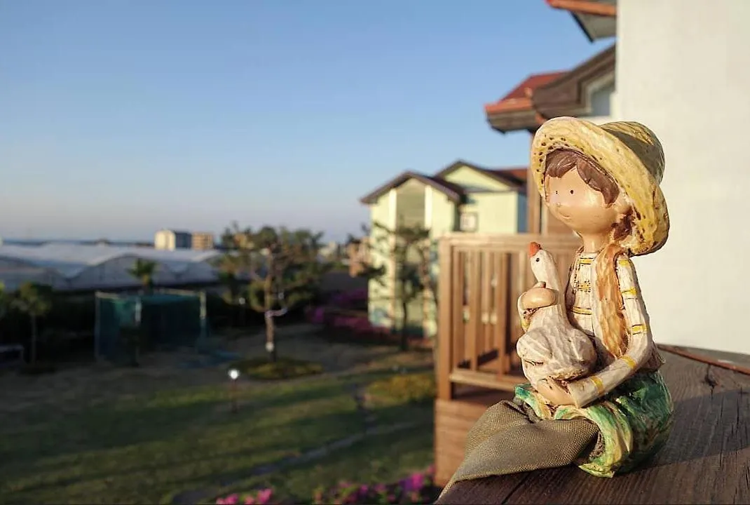 Jeju Time-Travel Pension Feriehus